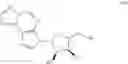 Fig. 170 - Cyclic dinucleotides as anticancer agents