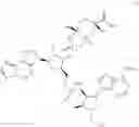 Fig. 195 - Cyclic dinucleotides as anticancer agents