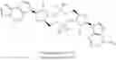 Fig. 197 - Cyclic dinucleotides as anticancer agents