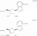 Fig. 204 - Cyclic dinucleotides as anticancer agents