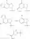 Fig. 267 - Cyclic dinucleotides as anticancer agents