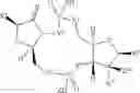 Fig. 276 - Cyclic dinucleotides as anticancer agents