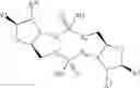 Fig. 34 - Cyclic dinucleotides as anticancer agents