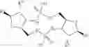 Fig. 43 - Cyclic dinucleotides as anticancer agents