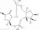 Fig. 74 - Cyclic dinucleotides as anticancer agents