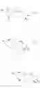 Fig. 86 - Cyclic dinucleotides as anticancer agents