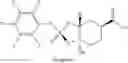Fig. 89 - Cyclic dinucleotides as anticancer agents