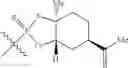 Fig. 94 - Cyclic dinucleotides as anticancer agents