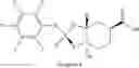 Fig. 95 - Cyclic dinucleotides as anticancer agents