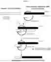 Fig. 02 - Trans-splicing ribozyme targeting rhodopsin transcript and uses thereof