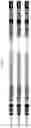 Fig. 06 - Trans-splicing ribozyme targeting rhodopsin transcript and uses thereof