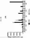 Fig. 21 - Trans-splicing ribozyme targeting rhodopsin transcript and uses thereof