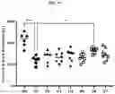 Fig. 30 - Trans-splicing ribozyme targeting rhodopsin transcript and uses thereof