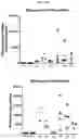 Fig. 32 - Trans-splicing ribozyme targeting rhodopsin transcript and uses thereof
