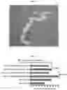 Fig. 08 - POLYSACCHARIDE COMPOSITIONS FOR USE IN TREATING FILARIASIS