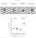 Fig. 08 - BETA-GLUCAN IMMUNOTHERAPIES AFFECTING THE IMMUNE MICROENVIRONMENT