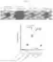 Fig. 23 - BETA-GLUCAN IMMUNOTHERAPIES AFFECTING THE IMMUNE MICROENVIRONMENT