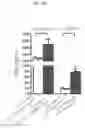 Fig. 24 - BETA-GLUCAN IMMUNOTHERAPIES AFFECTING THE IMMUNE MICROENVIRONMENT