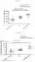 Fig. 43 - BETA-GLUCAN IMMUNOTHERAPIES AFFECTING THE IMMUNE MICROENVIRONMENT