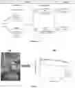 Fig. 02 - METHODS AND USES OF NATURAL BASED COMPOSITIONS