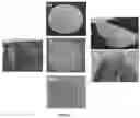 Fig. 03 - METHODS AND USES OF NATURAL BASED COMPOSITIONS