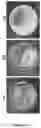Fig. 04 - METHODS AND USES OF NATURAL BASED COMPOSITIONS