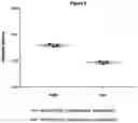 Fig. 07 - PHARMACEUTICAL COMPOSITION