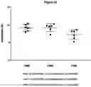 Fig. 24 - PHARMACEUTICAL COMPOSITION