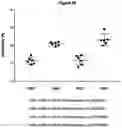 Fig. 36 - PHARMACEUTICAL COMPOSITION