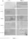Fig. 25 - TUNABLE IMMUNE RESPONSIVE BIODEGRADABLE ARGININE-BASED POLY(ESTER AMIDE)S AND METHODS OF MAKING AND USING SAME