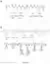 Fig. 30 - TUNABLE IMMUNE RESPONSIVE BIODEGRADABLE ARGININE-BASED POLY(ESTER AMIDE)S AND METHODS OF MAKING AND USING SAME