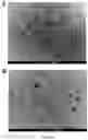 Fig. 31 - TUNABLE IMMUNE RESPONSIVE BIODEGRADABLE ARGININE-BASED POLY(ESTER AMIDE)S AND METHODS OF MAKING AND USING SAME