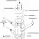 Fig. 01 - COMPOSITIONS, SYSTEMS, KITS, AND METHODS FOR TREATING AN INFECTION