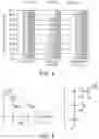 Fig. 04 - COMPOSITIONS, SYSTEMS, KITS, AND METHODS FOR TREATING AN INFECTION