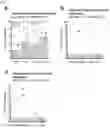 Fig. 02 - MIC therapy for specific immunosuppression in transplantation