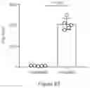 Fig. 102 - PROCESSES FOR PRODUCTION OF TUMOR INFILTRATING LYMPHOCYTES AND USES OF SAME IN IMMUNOTHERAPY