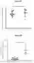 Fig. 108 - PROCESSES FOR PRODUCTION OF TUMOR INFILTRATING LYMPHOCYTES AND USES OF SAME IN IMMUNOTHERAPY
