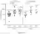 Fig. 125 - PROCESSES FOR PRODUCTION OF TUMOR INFILTRATING LYMPHOCYTES AND USES OF SAME IN IMMUNOTHERAPY