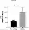 Fig. 132 - PROCESSES FOR PRODUCTION OF TUMOR INFILTRATING LYMPHOCYTES AND USES OF SAME IN IMMUNOTHERAPY