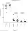 Fig. 20 - PROCESSES FOR PRODUCTION OF TUMOR INFILTRATING LYMPHOCYTES AND USES OF SAME IN IMMUNOTHERAPY