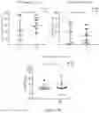 Fig. 21 - PROCESSES FOR PRODUCTION OF TUMOR INFILTRATING LYMPHOCYTES AND USES OF SAME IN IMMUNOTHERAPY