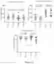 Fig. 23 - PROCESSES FOR PRODUCTION OF TUMOR INFILTRATING LYMPHOCYTES AND USES OF SAME IN IMMUNOTHERAPY