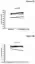 Fig. 72 - PROCESSES FOR PRODUCTION OF TUMOR INFILTRATING LYMPHOCYTES AND USES OF SAME IN IMMUNOTHERAPY