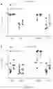 Fig. 78 - PROCESSES FOR PRODUCTION OF TUMOR INFILTRATING LYMPHOCYTES AND USES OF SAME IN IMMUNOTHERAPY