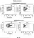 Fig. 03 - METHODS FOR ACTIVATION AND EXPANSION OF NATURAL KILLER CELLS AND USES THEREOF