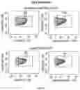 Fig. 04 - METHODS FOR ACTIVATION AND EXPANSION OF NATURAL KILLER CELLS AND USES THEREOF