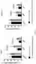 Fig. 05 - METHODS FOR ACTIVATION AND EXPANSION OF NATURAL KILLER CELLS AND USES THEREOF