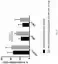 Fig. 07 - METHODS FOR ACTIVATION AND EXPANSION OF NATURAL KILLER CELLS AND USES THEREOF