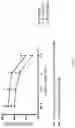 Fig. 08 - METHODS FOR ACTIVATION AND EXPANSION OF NATURAL KILLER CELLS AND USES THEREOF