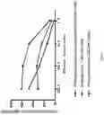 Fig. 16 - METHODS FOR ACTIVATION AND EXPANSION OF NATURAL KILLER CELLS AND USES THEREOF